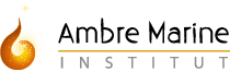 Logo ambre marine